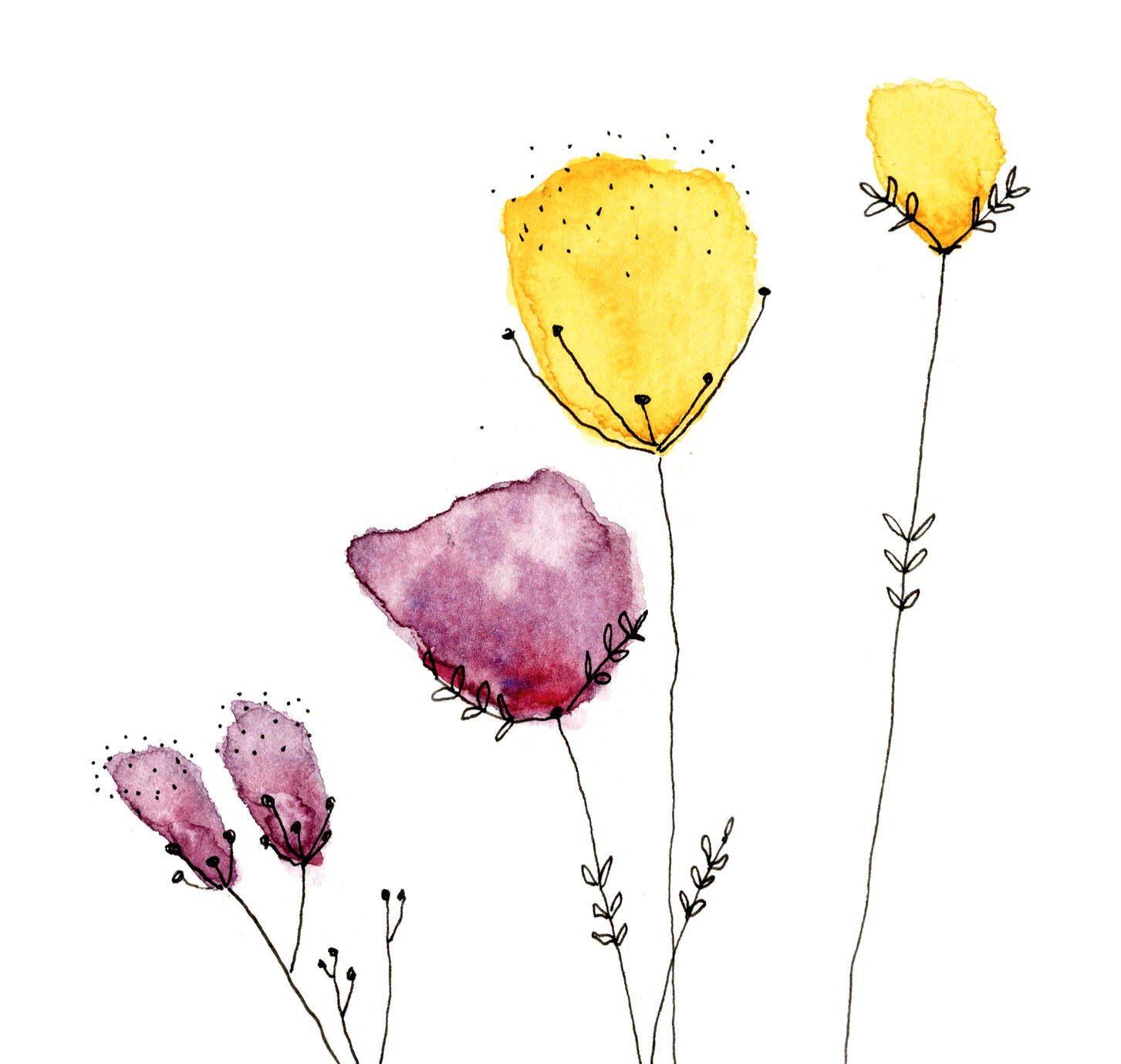 Bild Lobivia; noch wenige, letzte Exemplare