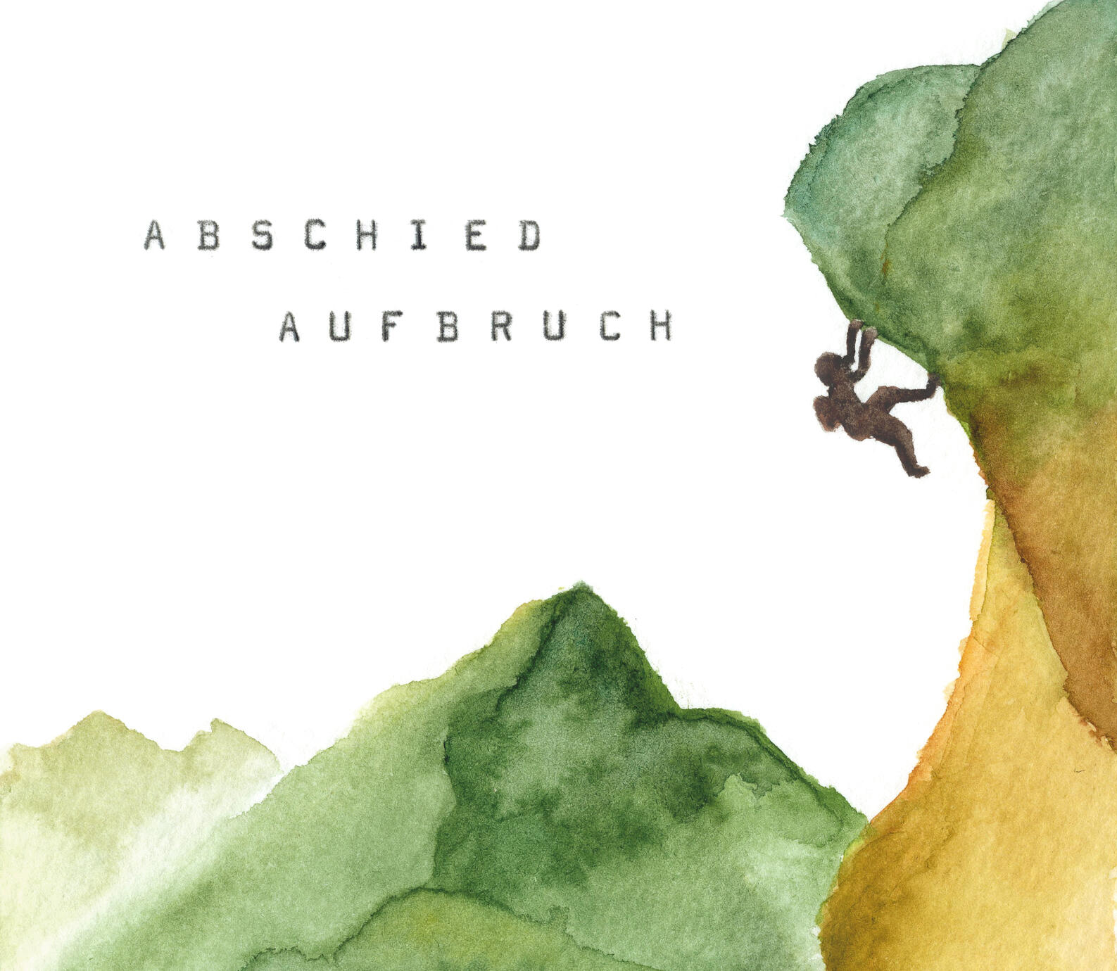 Bild Phlox; noch wenige, letzte Exemplare