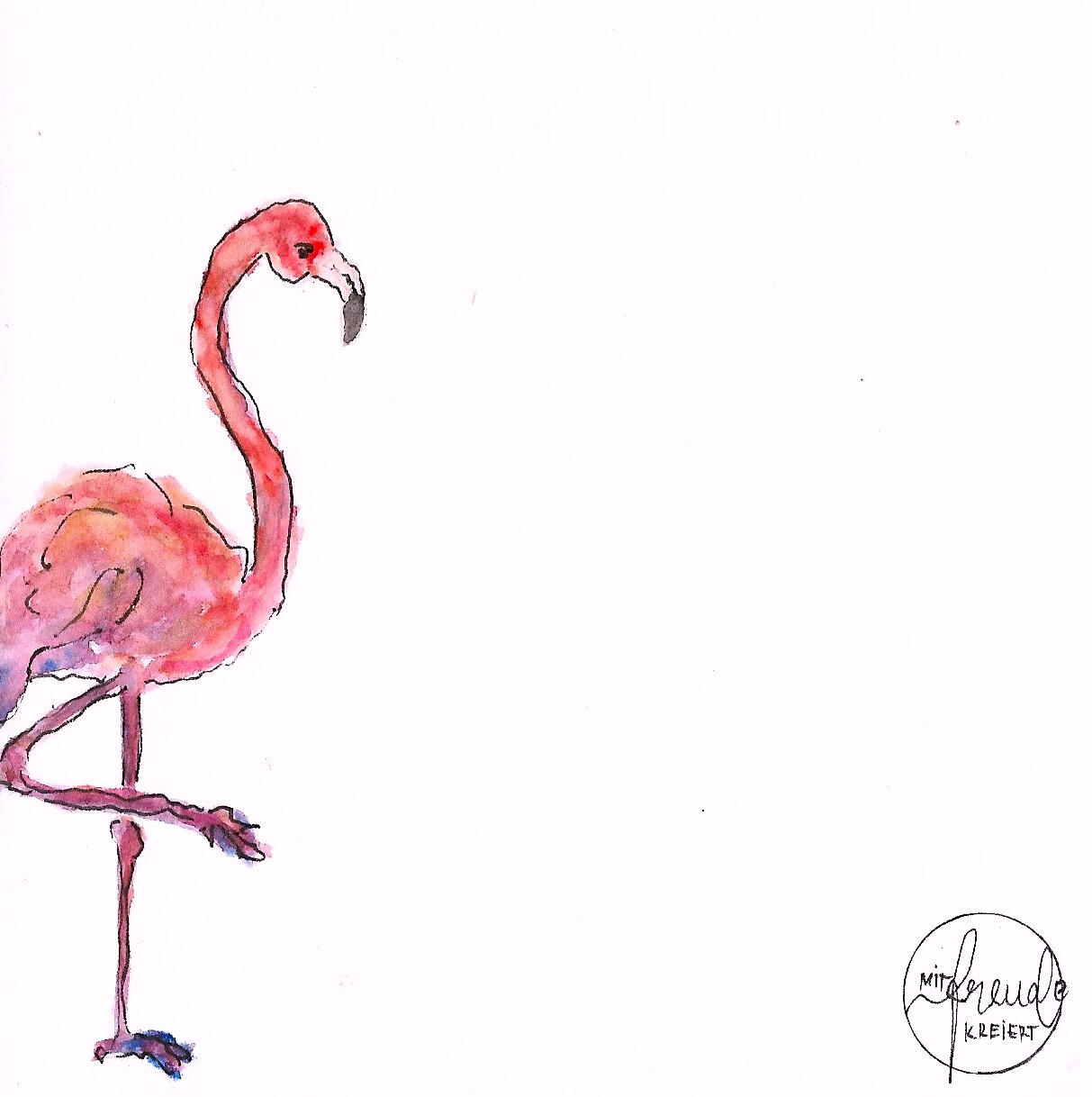 Bild Flamingo