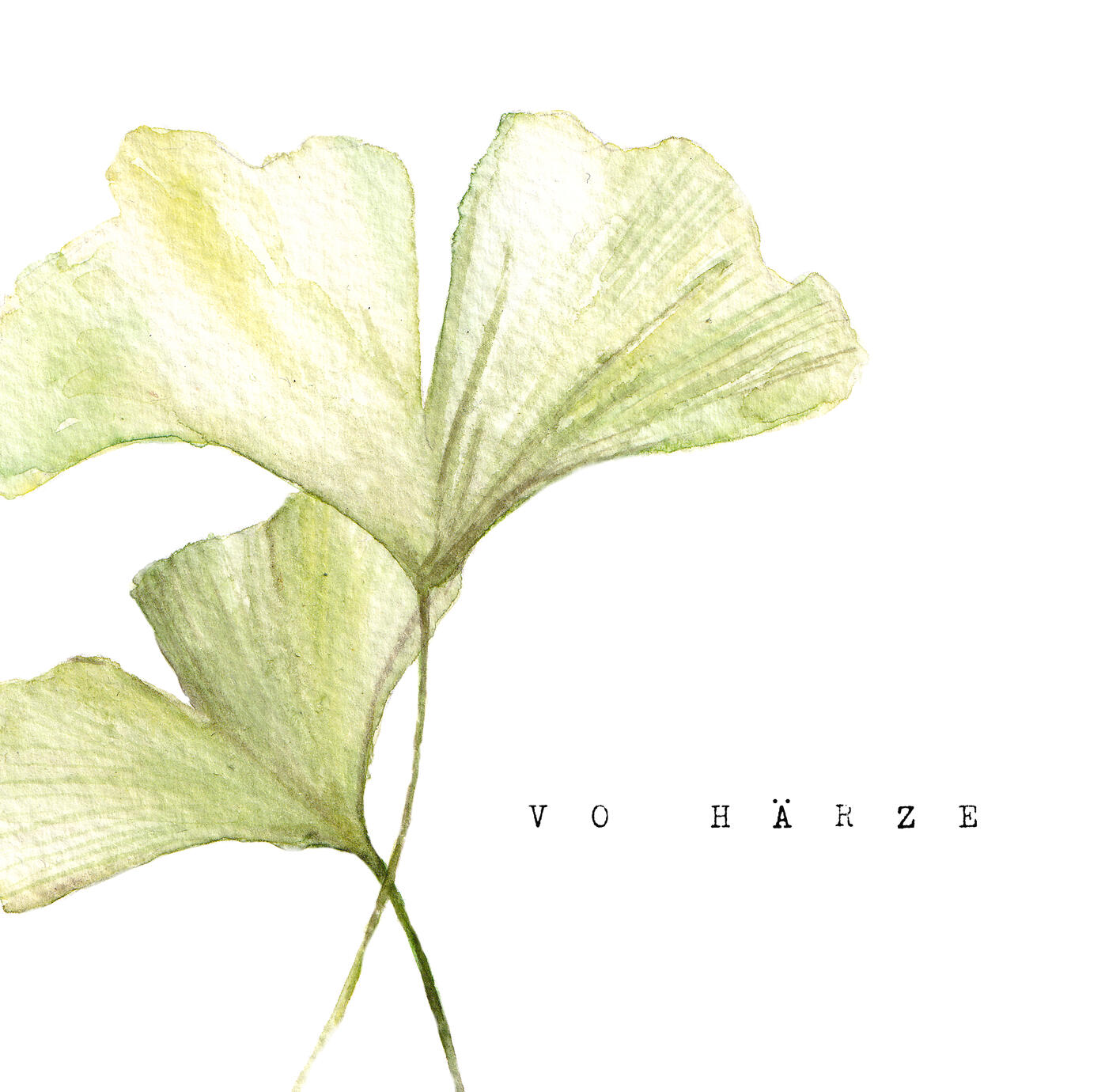 Bild Gingko grün