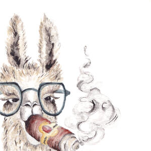 Lama