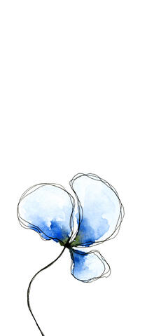 Kachol _LK